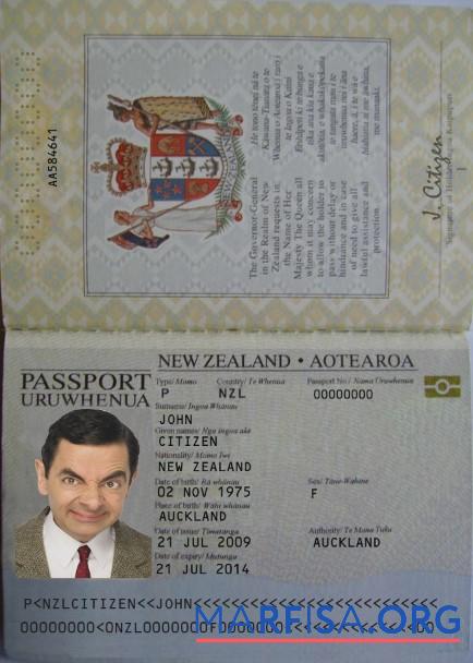 Blank New Zealand passport (2005 2009) template